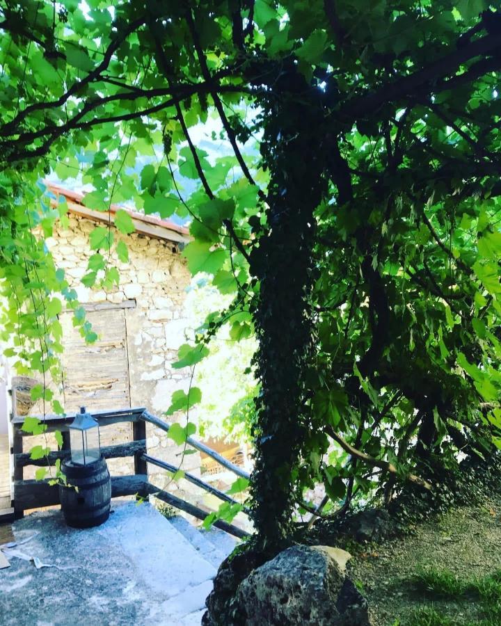 L'Echappée en Vercors Choranche Esterno foto